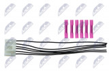NTY PATICE VČETNĚ KABELÁŽE ZADNÍ SVĚTLO FIAT DUCATO 2006-,CITROEN JUMPER 2006-,PEUGEOT BOXER 2006-/NUMBER OF WIRES:6/
