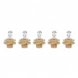 pack-of-instrument-cluster-bulbs-bx8.4d-12v-with-beige-socket