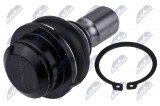 NTY SILENTBLOK RAMENE NISSAN NAVARA D40 05- /24MM FRONT, LOWER/