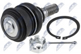 NTY SILENTBLOK RAMENE NISSAN PICK-UP D22 2WD 98-, NP300 2WD 08-, CABSTAR F23 -01 /FRONT, LOWER/