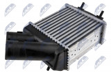 NTY INTERCOOLER RENAULT MEGANE I (95-) 1.9 DCI, SCENIC I (96-) 1.9 DCI (DIESEL)