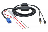 AUX-a-Apple-Lightning-adapter-s-OEM-Blaupunkt