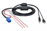 AUX-a-micro-USB-adapter-OEM-Blaupunkt
