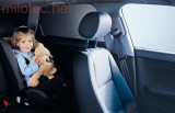 _vyrp12_13130078359-ABC_5